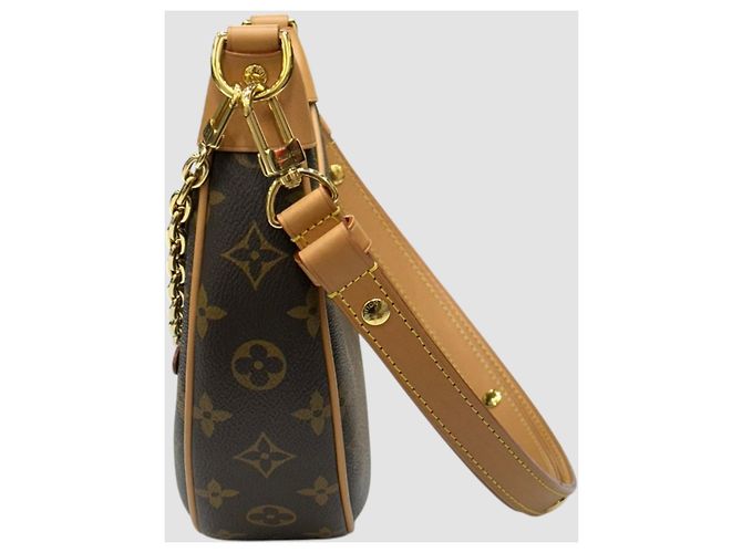 Louis Vuitton Borsa a tracolla Monogram Loop Chain Borsa Hobo - vista 5