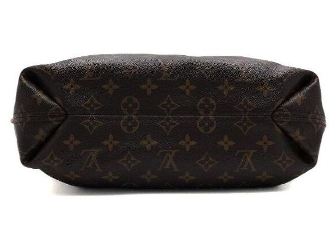 Louis Vuitton Borsa a tracolla Sully PM in Monogram Canvas - vista 6