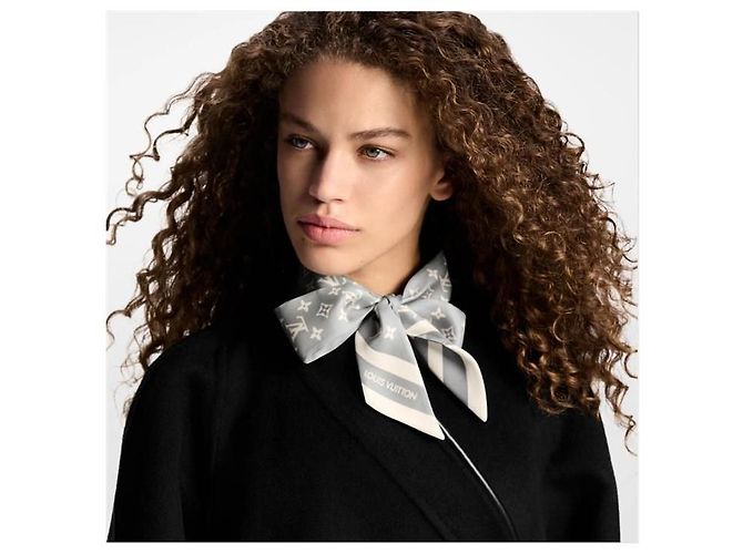 Louis Vuitton Monogram Silhouette BB Bandol Scarf - vista 5