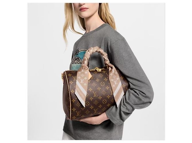 Louis Vuitton Sciarpa Bandou Monogram Silhouette BB - vista 5