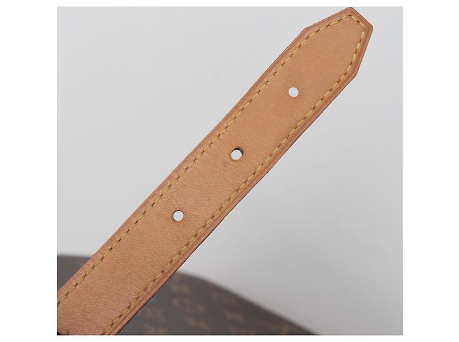 Louis Vuitton Borsa a tracolla in tela Monogram - vista 13