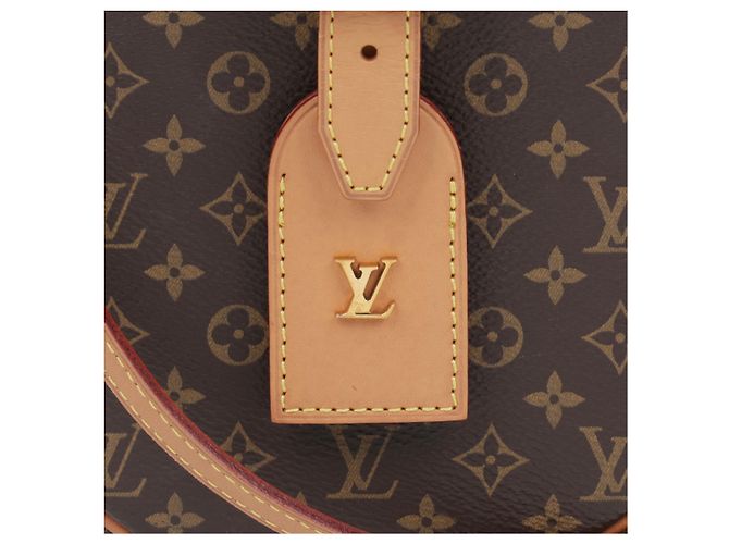 Louis Vuitton Borsa a tracolla in tela Monogram - vista 2