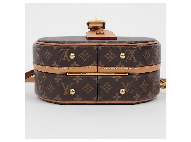 Louis Vuitton Borsa a tracolla in tela Monogram - vista 9
