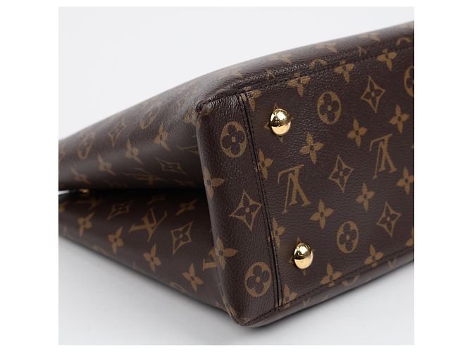Louis Vuitton Borsa a spalla Monogram Coclico Flower - vista 11