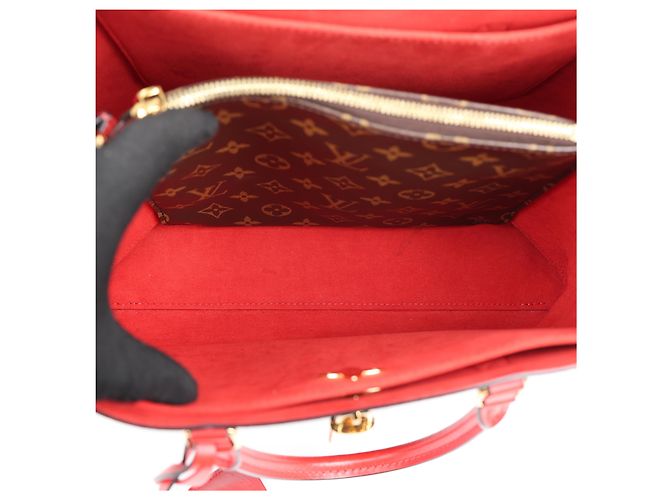 Louis Vuitton Borsa a spalla Monogram Coclico Flower - vista 14