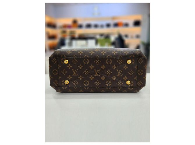 Louis Vuitton Borsa a tracolla Monogram Montaigne MM - vista 6