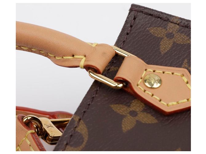 Louis Vuitton Borsa Tote Petite Monogram Canvas - vista 11