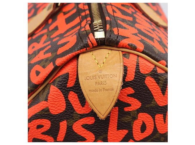 Louis Vuitton Speedy Limited Edition Monogram Graffiti 30 - vista 6