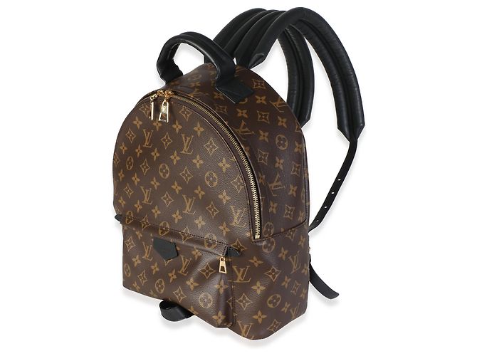 Louis Vuitton Monogram Canvas Palm Springs MM - vista 3