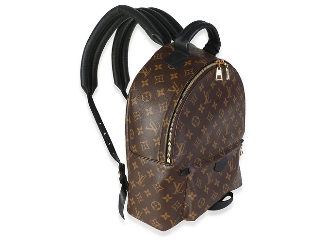 Louis Vuitton Monogram Canvas Palm Springs MM - vista 4
