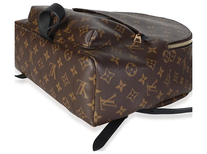 Louis Vuitton Monogram Canvas Palm Springs MM - vista 6
