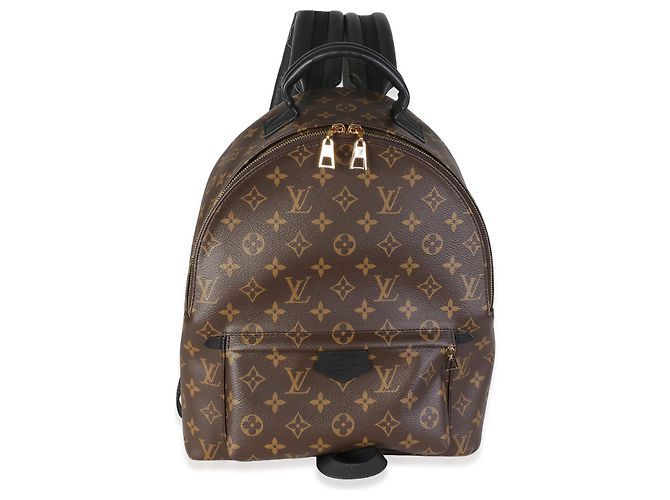 Louis Vuitton Monogram Canvas Palm Springs MM - vista 8