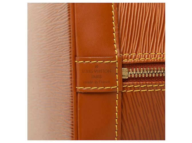Louis Vuitton Brown Epi Alma PM - vista 5