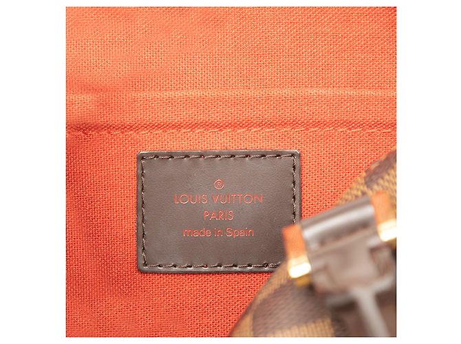 Louis Vuitton Brown Damier Ebene Mini Ribera - vista 5