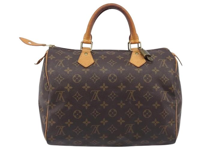 Louis Vuitton Speedy Monogram Canvas 30 - vista 2