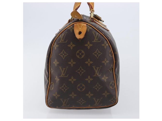Louis Vuitton Speedy Monogram Canvas 30 - vista 4