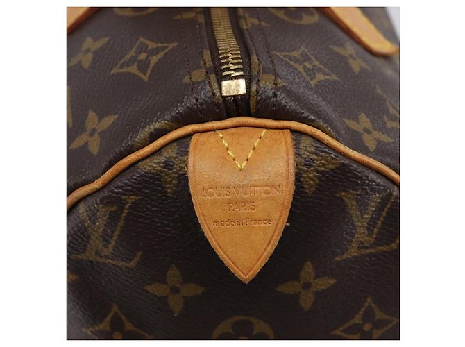 Louis Vuitton Speedy Monogram Canvas 30 - vista 6