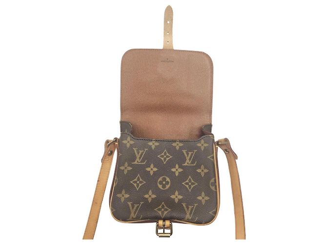 Borsa a tracolla Louis Vuitton Mini Cartouchiere 16 PM - vista 12