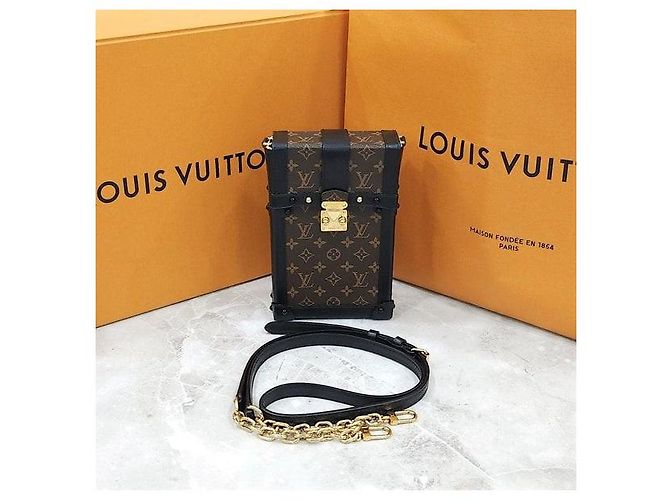 Louis Vuitton Pochette Trunk Vertical Chain Bag - Ansicht 8