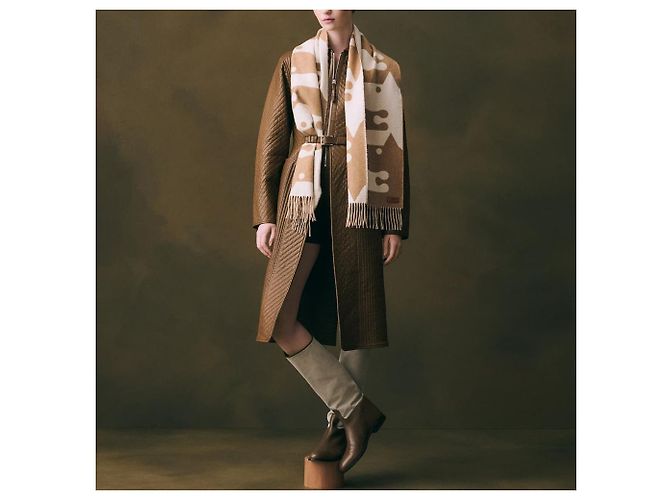 Hermès Petite Casaque Parthenon Scarf - vista 4