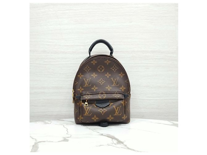Louis Vuitton Palm Springs Mini Monogram Rucksack - Ansicht 11