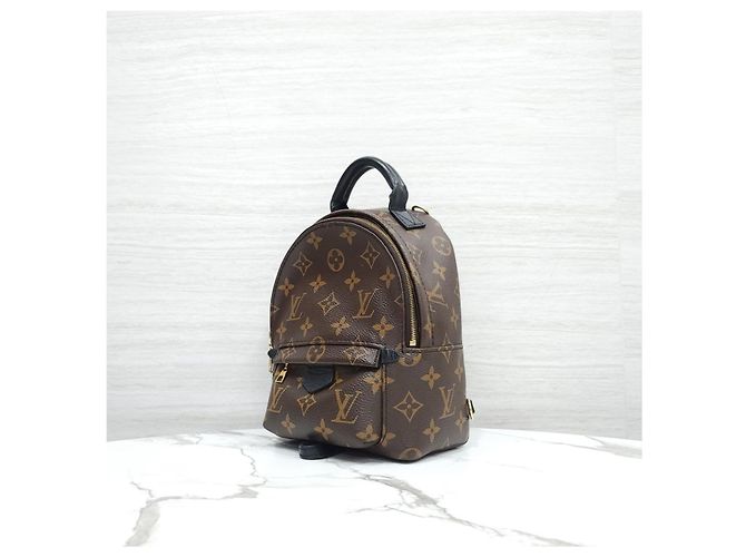 Louis Vuitton Palm Springs Mini Monogram Rucksack - Ansicht 12