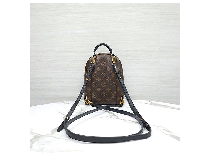 Louis Vuitton Palm Springs Mini Monogram Rucksack - Ansicht 13