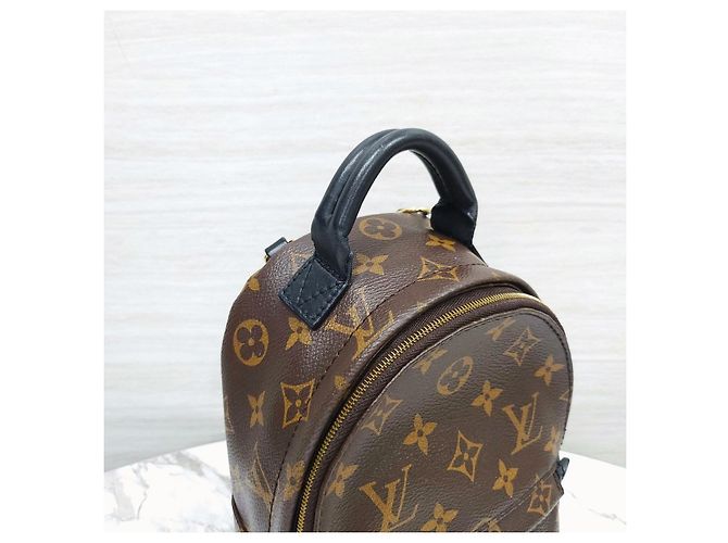 Louis Vuitton Palm Springs Mini Monogram Rucksack - Ansicht 14