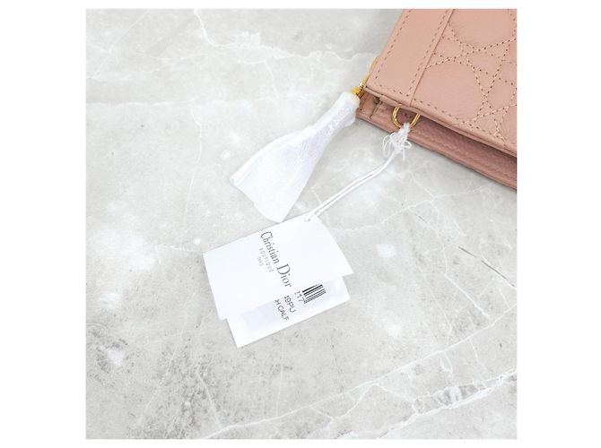 Dior Borsa a catena Caro Every Pouch - vista 14