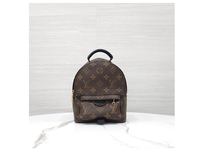 Louis Vuitton Mini zaino Palm Springs Monogram - vista 11