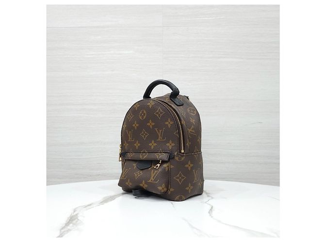 Louis Vuitton Mini zaino Palm Springs Monogram - vista 12