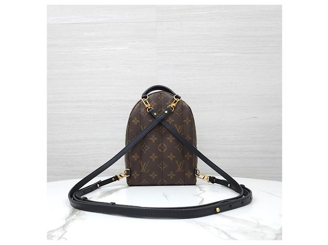 Louis Vuitton Mini zaino Palm Springs Monogram - vista 13