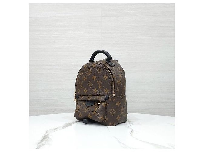 Louis Vuitton Mini zaino Palm Springs Monogram - vista 2