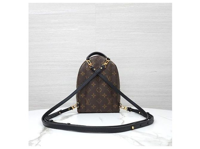 Louis Vuitton Mini zaino Palm Springs Monogram - vista 3