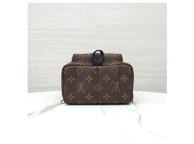 Louis Vuitton Mini zaino Palm Springs Monogram - vista 7