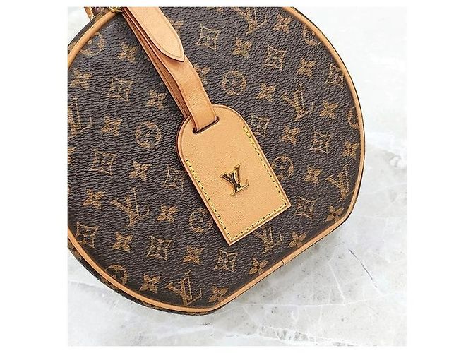 Louis Vuitton Borsa a Tracolla Petite Boucle Monogram - vista 5