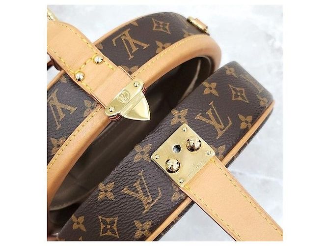 Louis Vuitton Borsa a Tracolla Petite Boucle Monogram - vista 7