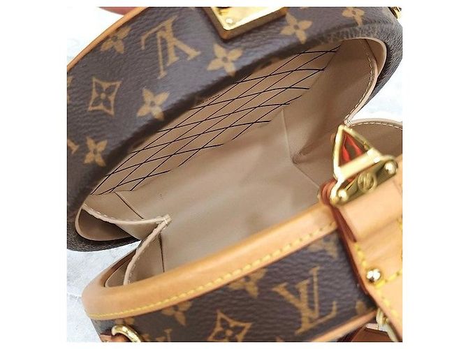Louis Vuitton Borsa a Tracolla Petite Boucle Monogram - vista 8