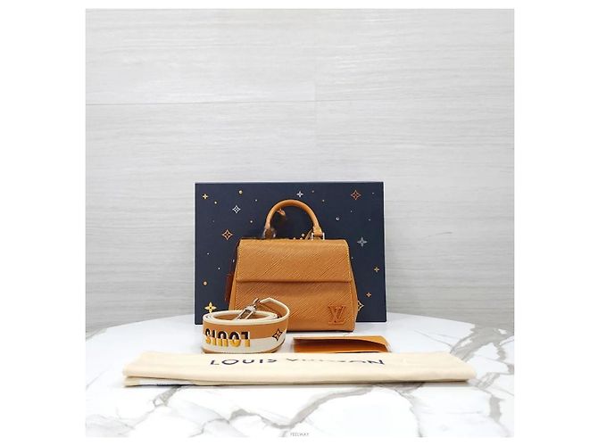 Louis Vuitton Cluny Mini Epi Gold - vista 9