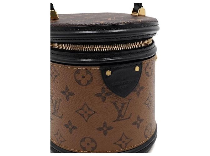 Louis Vuitton Borsa a mano e a tracolla Cannes Vanity in tela Reverse Monogram - vista 9