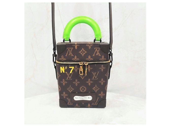 Louis Vuitton Borsa a tracolla Vertical Trunk Box Edizione Limitata - vista 10
