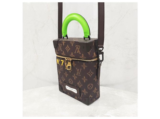 Louis Vuitton Borsa a tracolla Vertical Trunk Box Edizione Limitata - vista 11