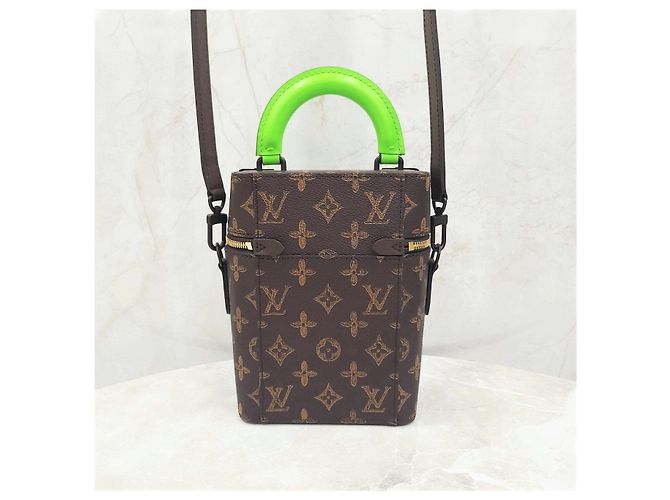 Louis Vuitton Borsa a tracolla Vertical Trunk Box Edizione Limitata - vista 12