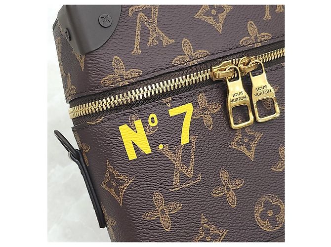 Louis Vuitton Borsa a tracolla Vertical Trunk Box Edizione Limitata - vista 14