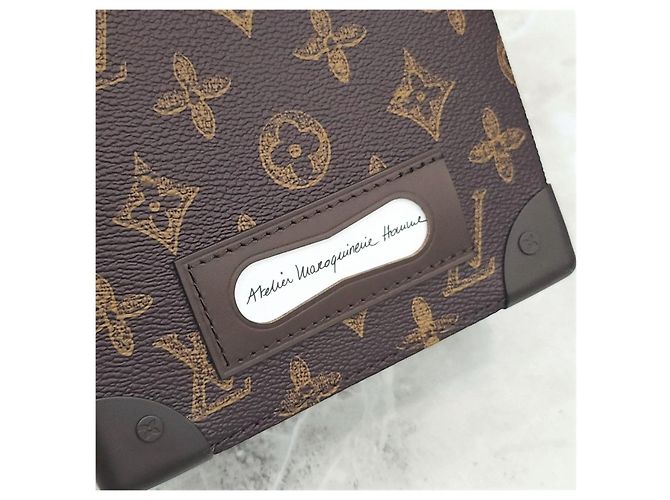 Louis Vuitton Borsa a tracolla Vertical Trunk Box Edizione Limitata - vista 15