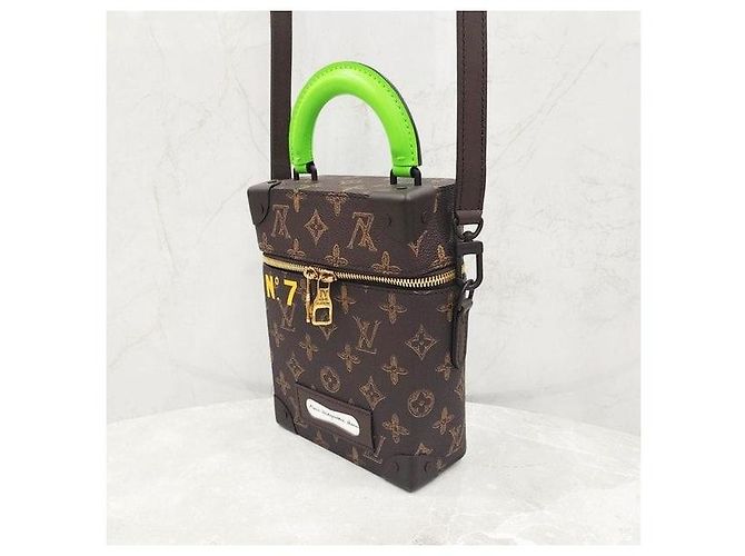 Louis Vuitton Borsa a tracolla Vertical Trunk Box Edizione Limitata - vista 2