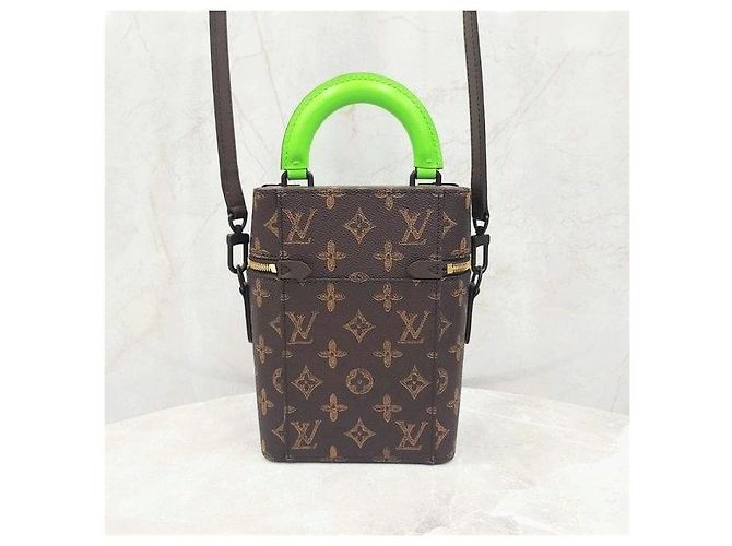 Louis Vuitton Borsa a tracolla Vertical Trunk Box Edizione Limitata - vista 3