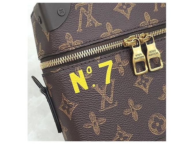 Louis Vuitton Borsa a tracolla Vertical Trunk Box Edizione Limitata - vista 5