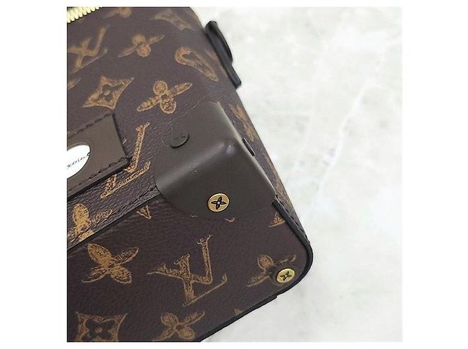 Louis Vuitton Borsa a tracolla Vertical Trunk Box Edizione Limitata - vista 7
