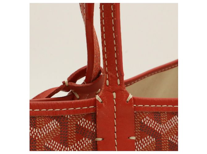 Borsa Tote Goyard Saint Louis PM - vista 6